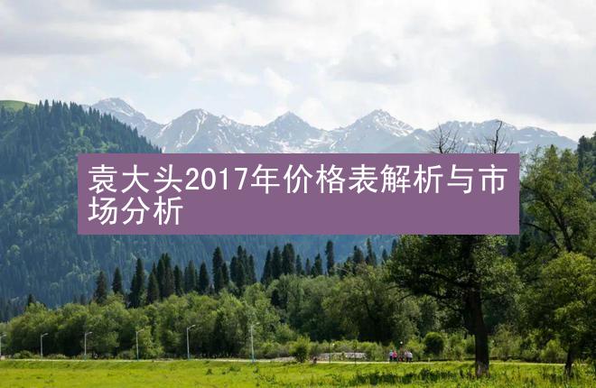 袁大头2017年价格表解析与市场分析